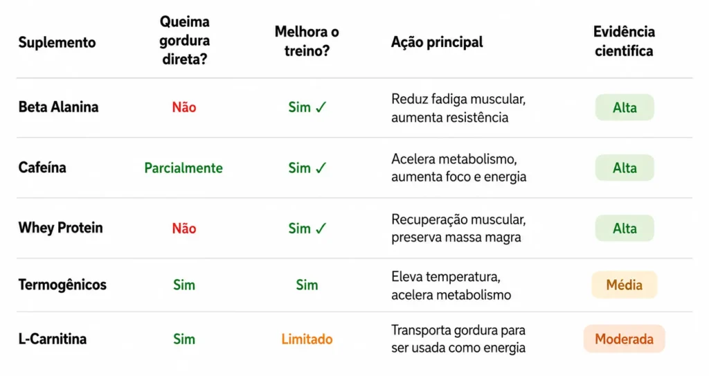 Beta Alanina vs. Outros Suplementos Para EmagrecimentoWEBP