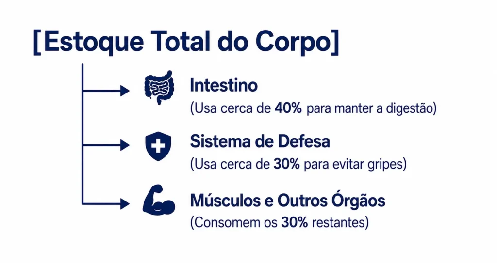 Para que e Indicado a glutamina